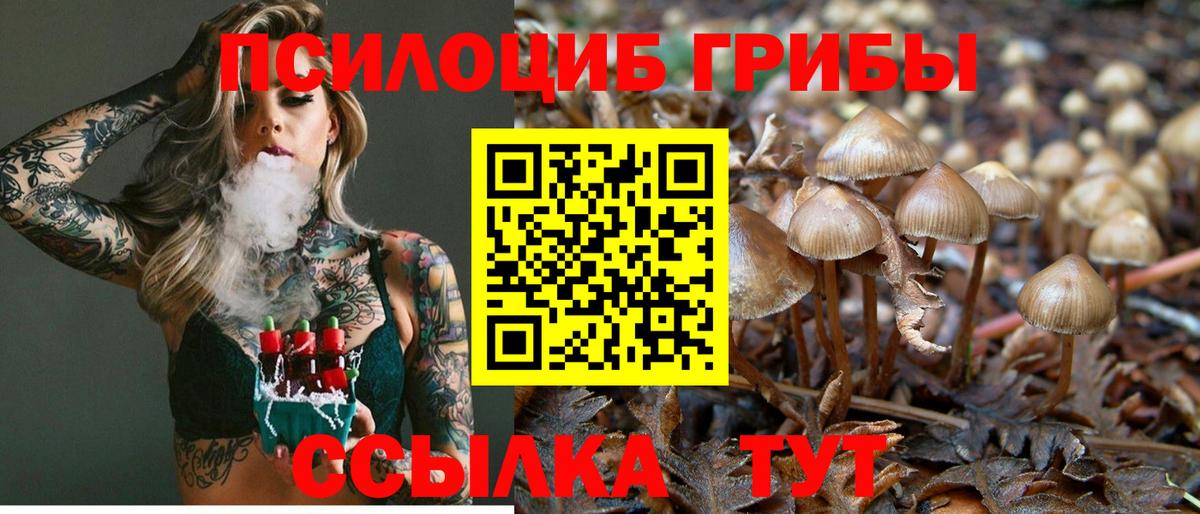 Псилоцибиновые грибы GOLDEN TEACHER  Вход с VPN  Биробиджан  Псилоцибиновые грибы ЛСД 